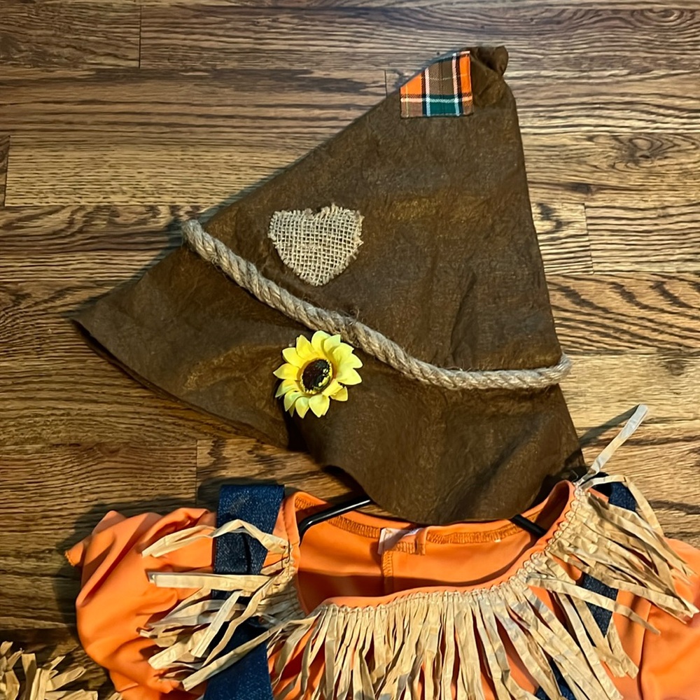 Adorable scarecrow costume -sold-